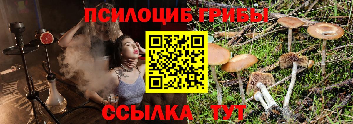 Галлюциногенные грибы мухоморы Элиста